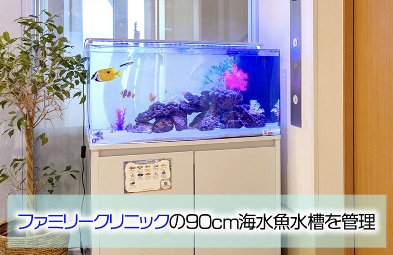 ファミリークリニック様の90cm海水魚水槽を管理!その後の様子 水槽画像1