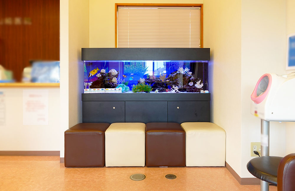 待合室の椅子と壁の間に設置された大型海水魚水槽