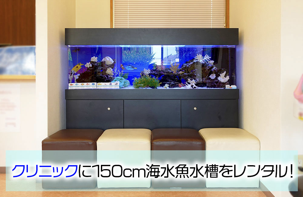 クリニック様の待合スペースに150cm海水魚水槽をレンタル・管理！