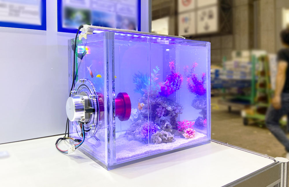 青い照明に照らされた海水魚水槽と側面の外部モーター装置
