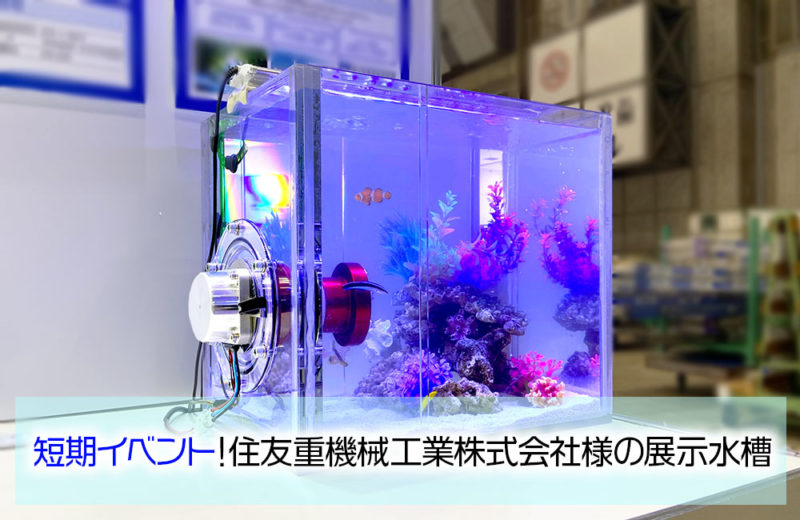 短期イベント!住友重機械工業株式会社様の40cm展示水槽 水槽画像1