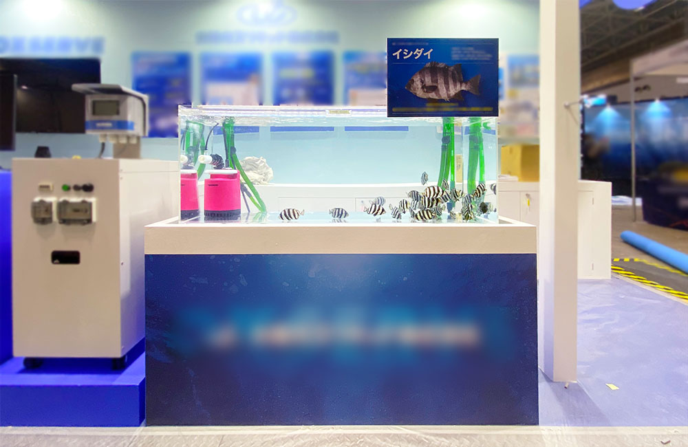 イシダイのパネルが設置された展示用水槽と周辺機器