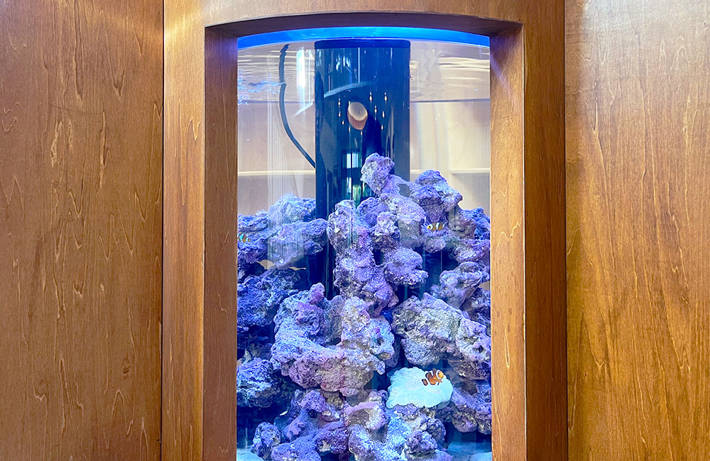 木目調の壁に埋め込まれた海水魚水槽とライブロック