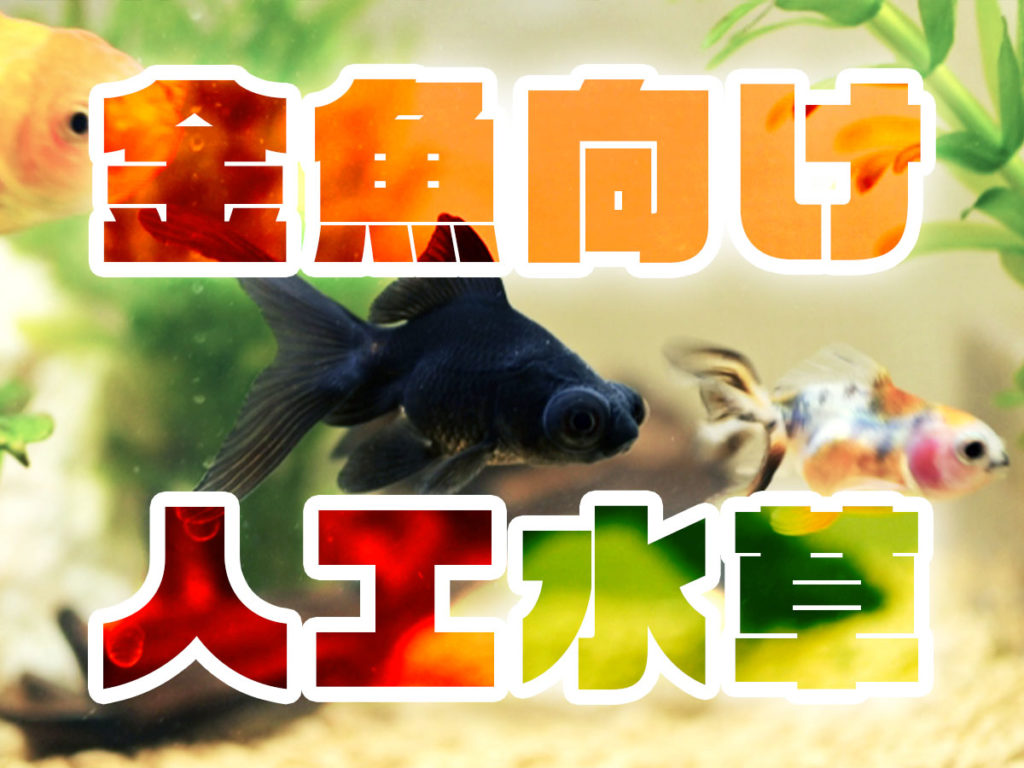 金魚用おすすめ人工水草5選!金魚に食べられない!長く楽しめるお手入れ法のサムネイル画像