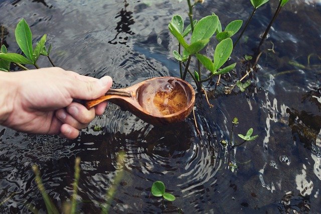 水辺で木製カップを持ち水を汲む人の手と水生植物