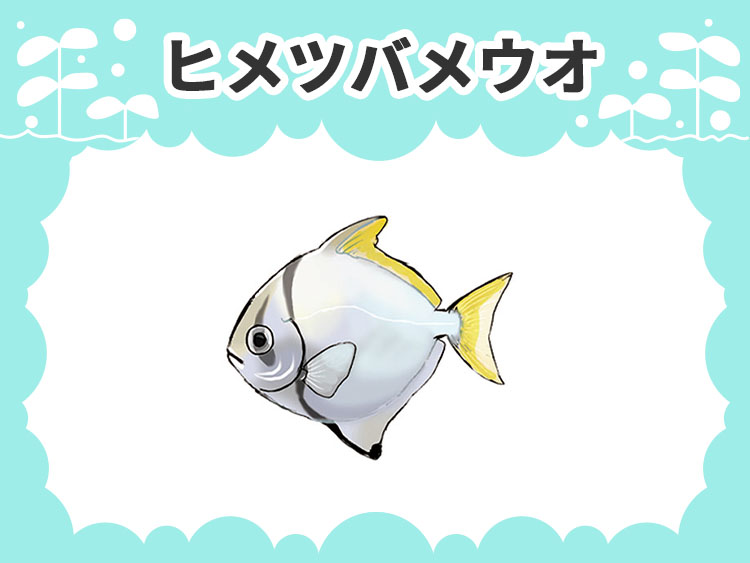 ヒメツバメウオの文字と魚のイラストが描かれた見出し画像