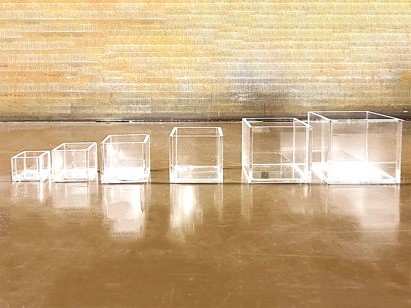 サイズ違いで横一列に並ぶ透明なアクリル製の小型水槽群