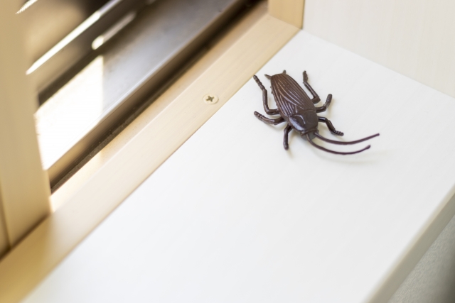 窓際の白い棚の上に置かれた茶色い害虫の模型