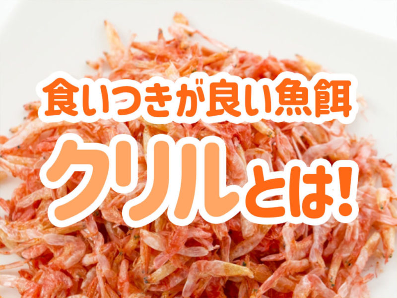 食いつきが良い魚餌クリルとは！の文字と乾燥クリルの画像