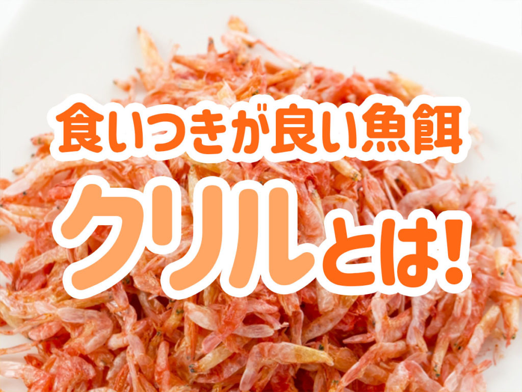 クリルとは！熱帯魚・海水魚の色揚げにおすすめなクリル5選も紹介のサムネイル画像