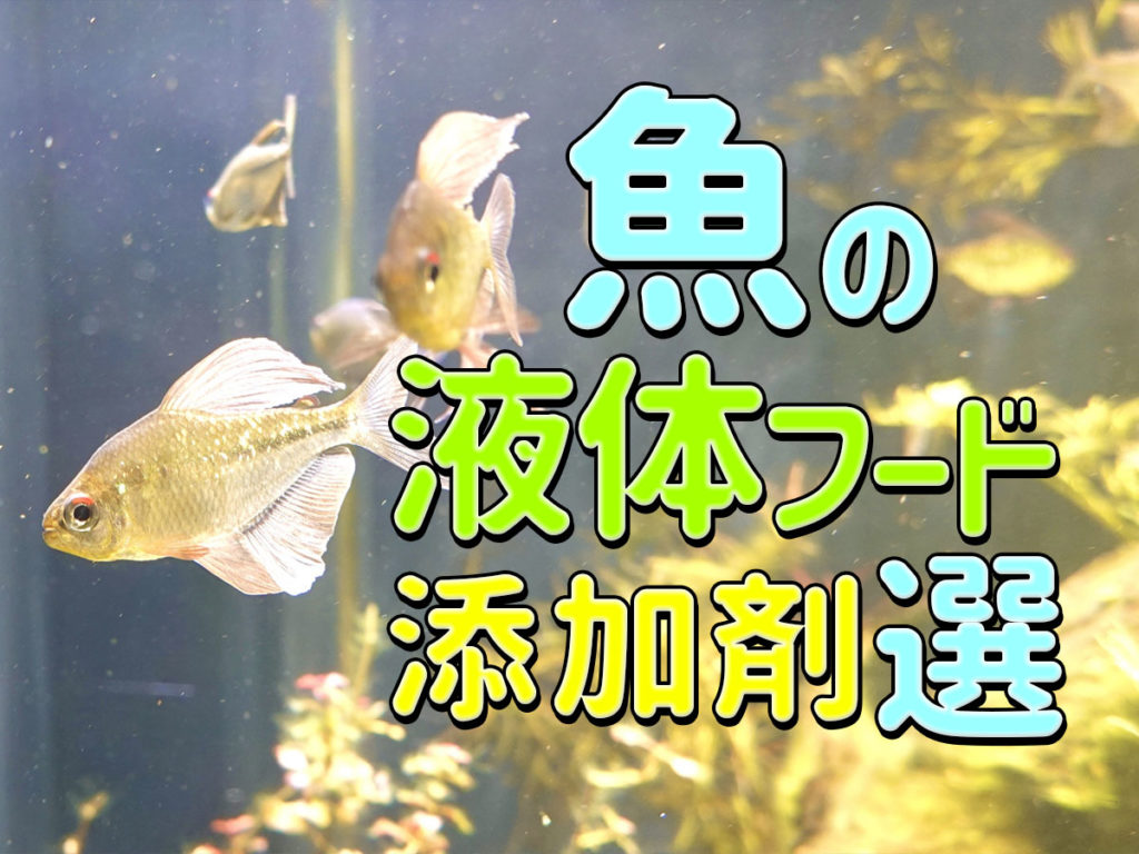 魚の液体フード・添加剤8選！食いつきと栄養価を上げる魚の餌を紹介のサムネイル画像