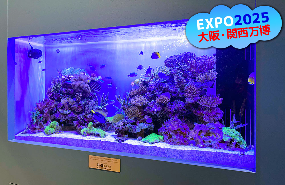 EXPO2025大阪・関西万博のロゴとサンゴ礁水槽