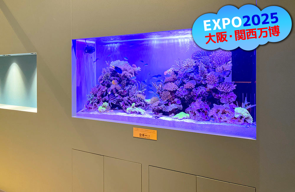 大阪・関西万博ロゴとサンゴ礁を再現した海水魚水槽