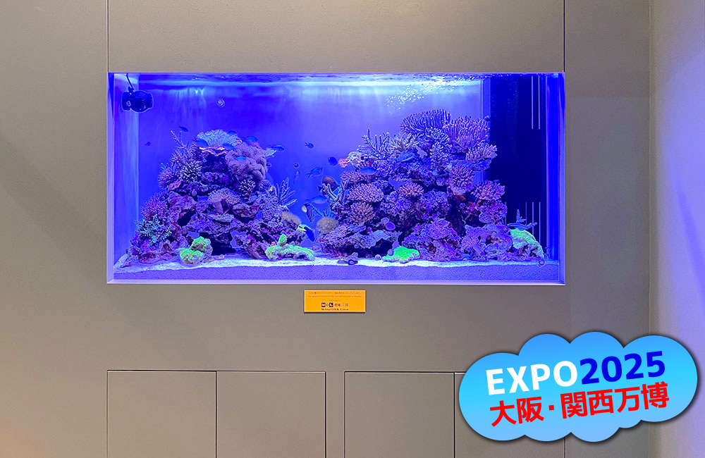 大阪・関西万博ロゴと青い照明のサンゴ水槽の見出し画像