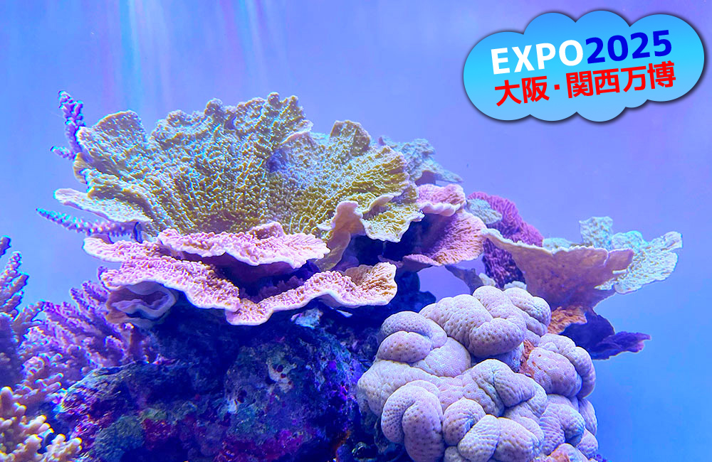 EXPO2025大阪・関西万博の文字とサンゴ礁の水槽画像