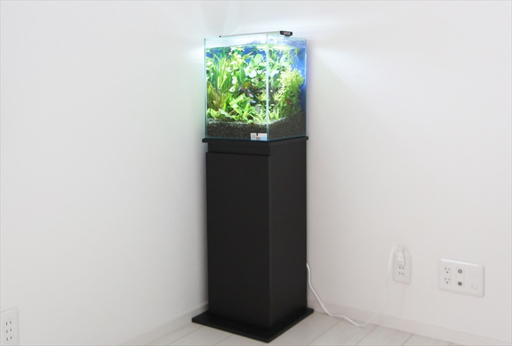 白い壁の部屋の隅に置かれた黒い水槽台と小型水草水槽