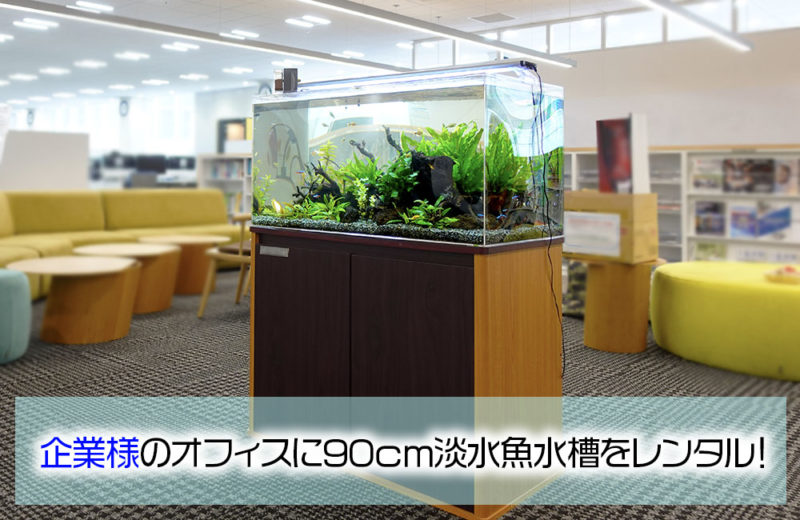 オフィスに癒しのインテリア!企業様の90cm淡水魚水槽 水槽画像1