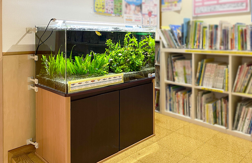 本棚の横に設置された水草の生い茂る屋内水槽