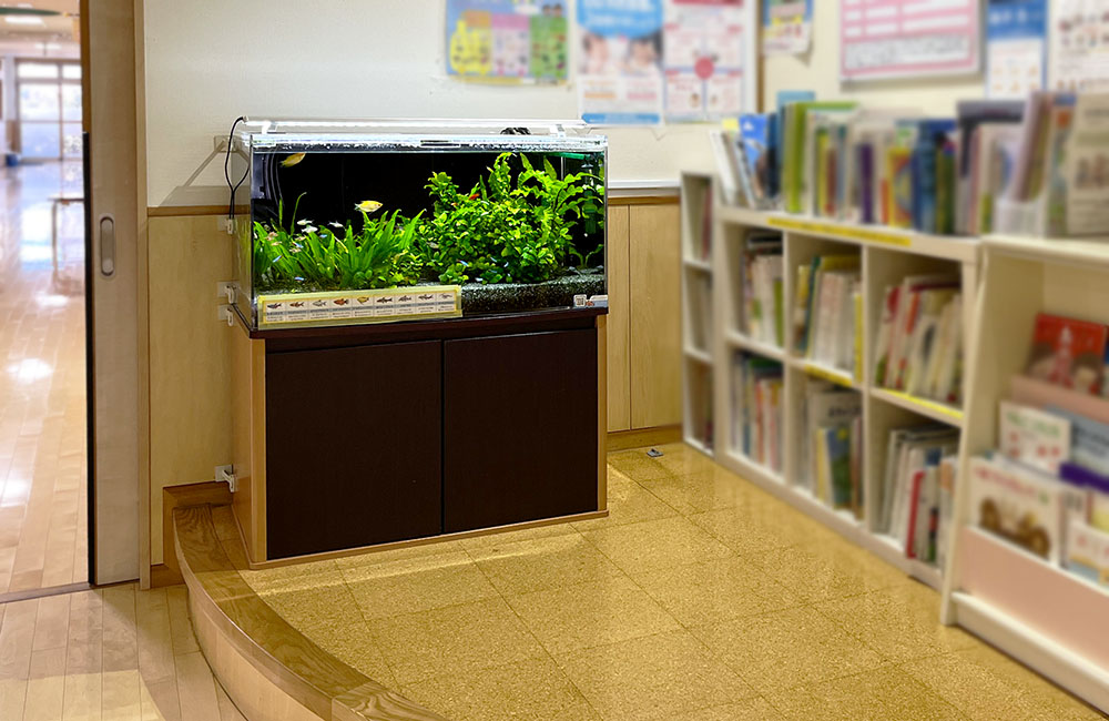本棚の横に設置された水草の茂る熱帯魚水槽と黒い水槽台