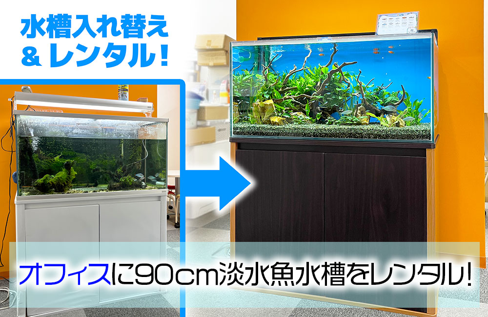 企業様の水槽を入れ替え・レンタル!緑豊かな淡水魚水槽のサムネイル画像