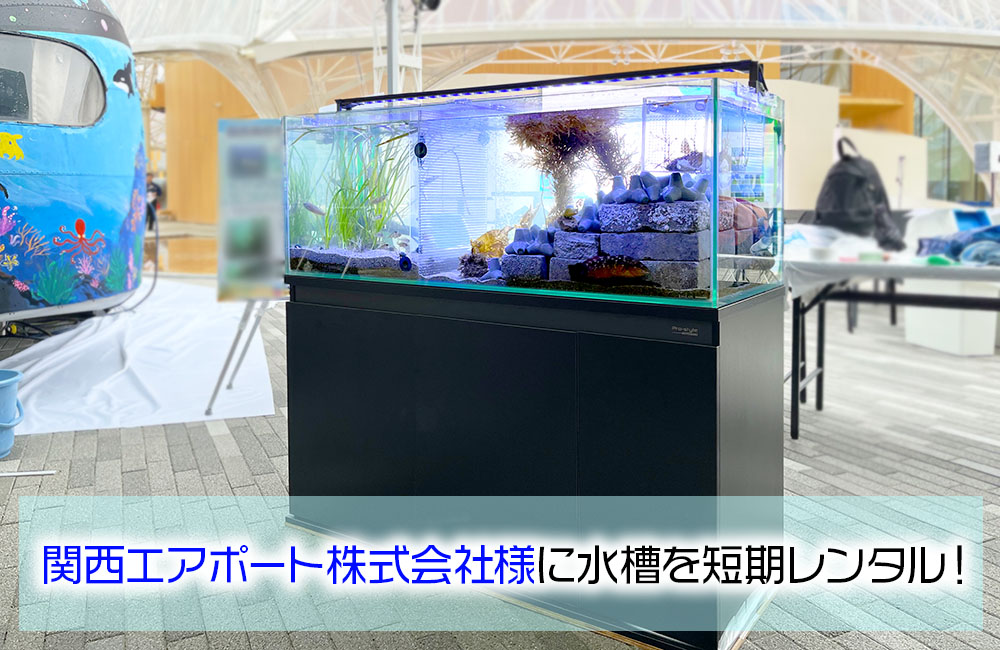 関西エアポート株式会社様に短期レンタル！大阪・関西万博の120cm水槽