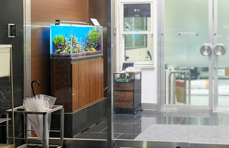 株式会社フォトクラフト社様に90cm淡水魚水槽をレンタル! 水槽画像5