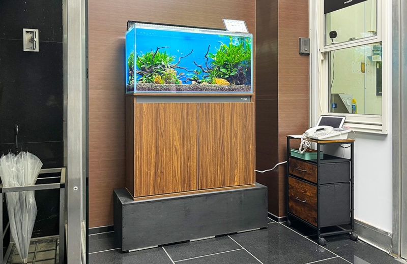 株式会社フォトクラフト社様に90cm淡水魚水槽をレンタル! 水槽画像4