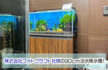 株式会社フォトクラフト社様に90cm淡水魚水槽をレンタル！