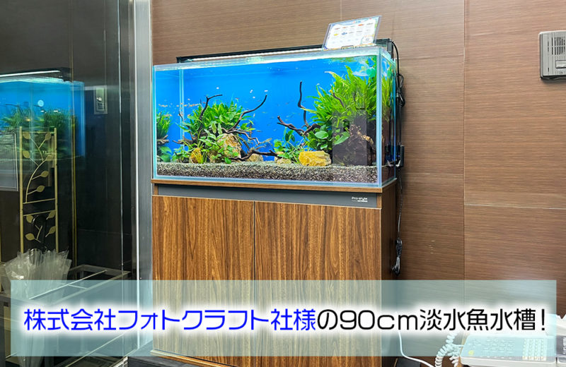 株式会社フォトクラフト社様に90cm淡水魚水槽をレンタル! 水槽画像1