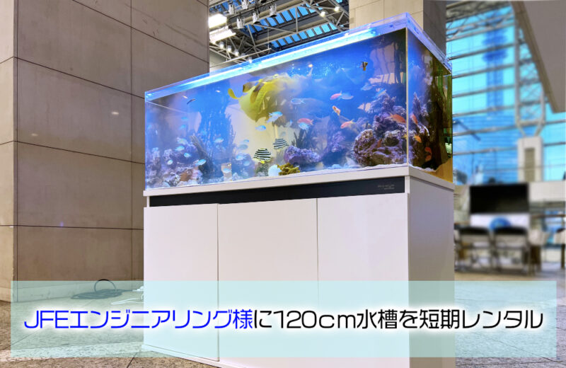 JFEエンジニアリング株式会社様に120cm水槽を短期レンタル!海藻を展示 水槽画像1