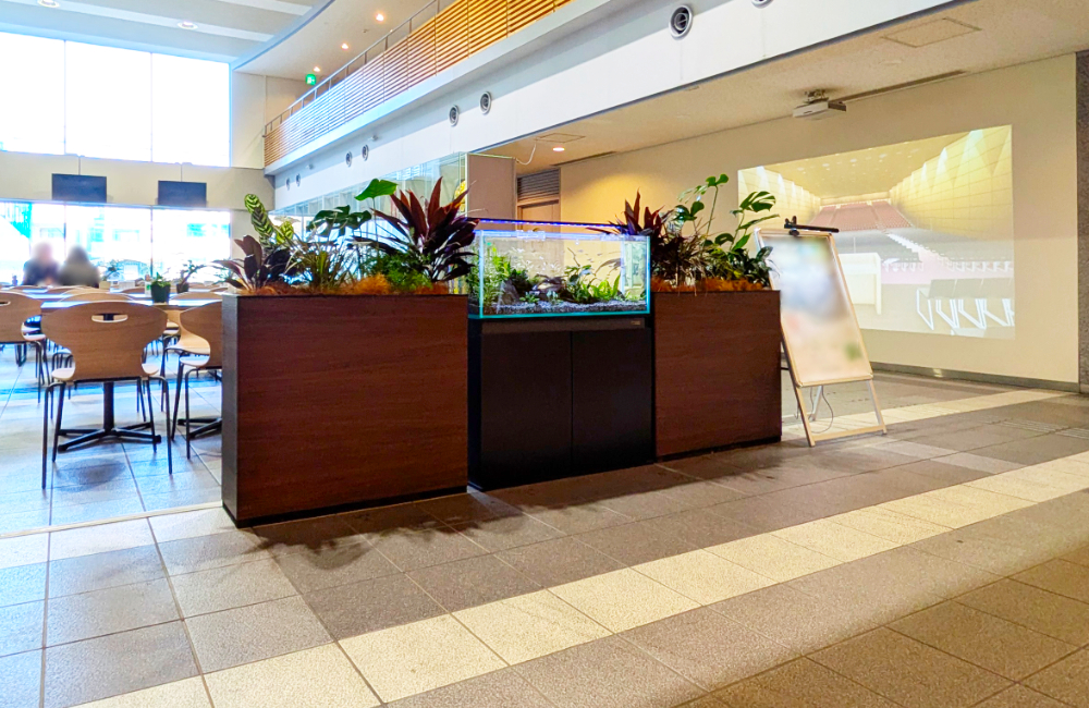ロビーに設置された水槽と観葉植物のパーテーション