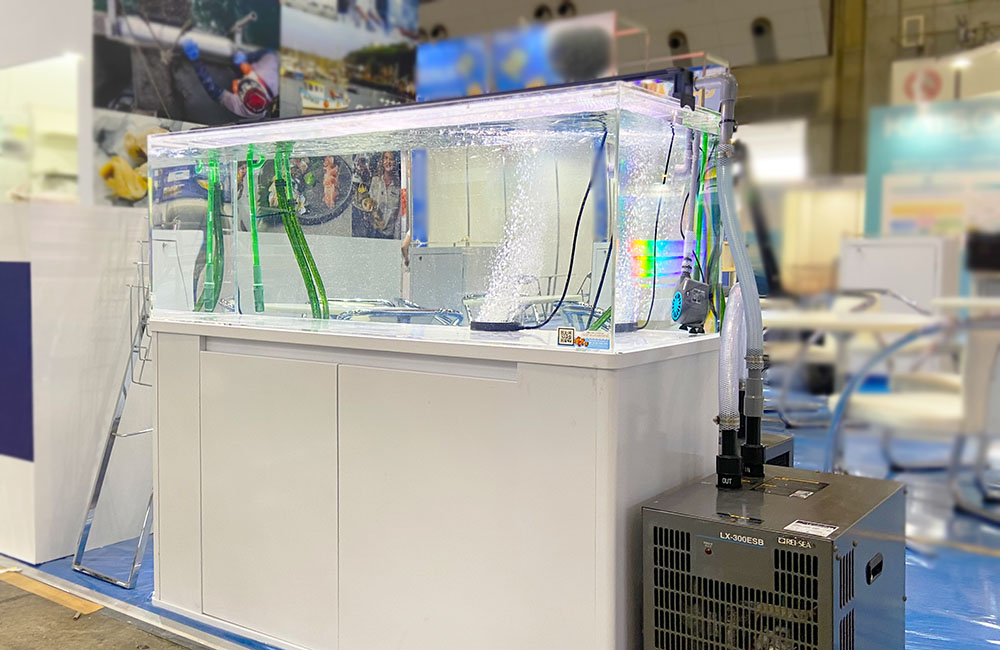 水槽用クーラーを接続した白い水槽台と大型水槽の展示