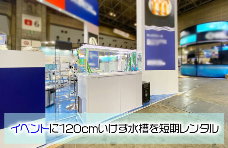 イベントブースに120cm水槽を強力な水槽用クーラーと短期レンタル 水槽画像1