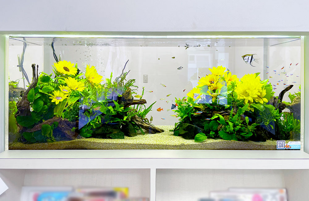ひまわりの造花と水草で彩られた熱帯魚水槽のレイアウト