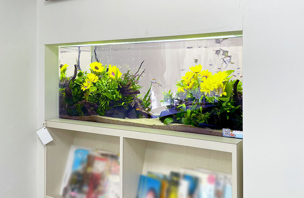 黄色い花と水草を配置した壁埋め込み型水槽のレイアウト