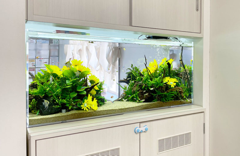 クリニック様の120cm埋め込み水槽・その後！季節の造花と美しい水草レイアウト 水槽画像３
