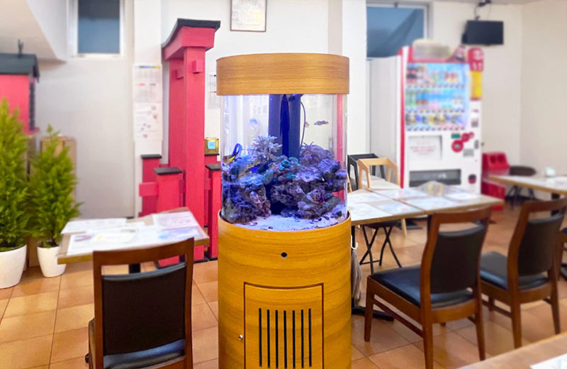 オフィスの店舗に設置されている60cm円柱水槽を管理！10年目の様子 水槽画像２