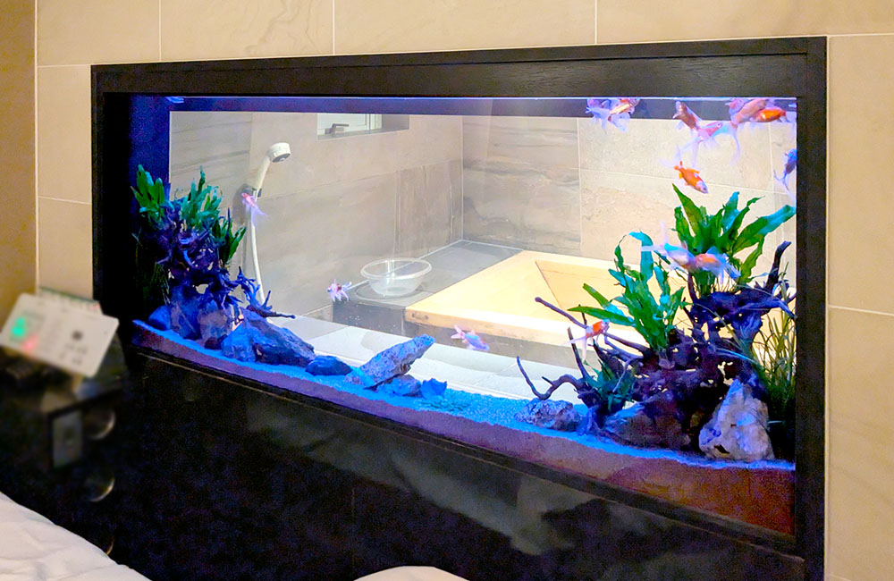 浴室に面した埋め込み式水槽で泳ぐ金魚と水草のレイアウト