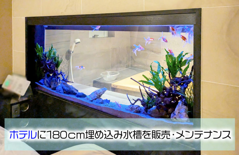 ホテルに180cm埋め込み水槽を販売・メンテナンスの画像