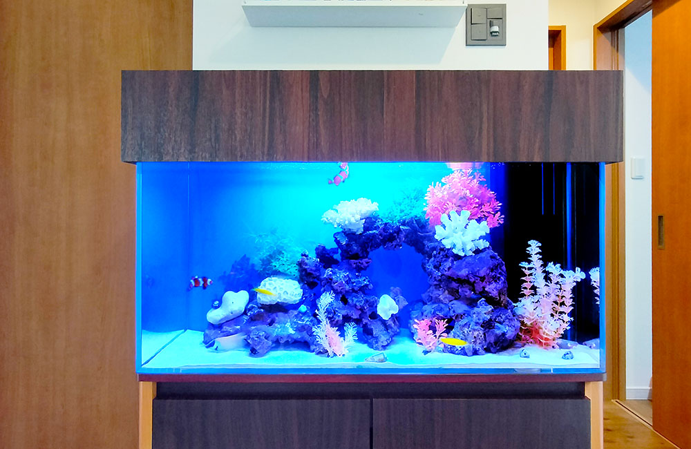 青い照明に照らされた海水魚水槽と人工サンゴのレイアウト