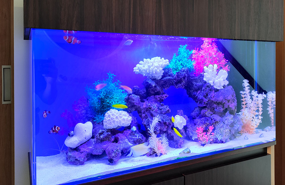 青い照明の海水魚水槽とサンゴや岩のレイアウト