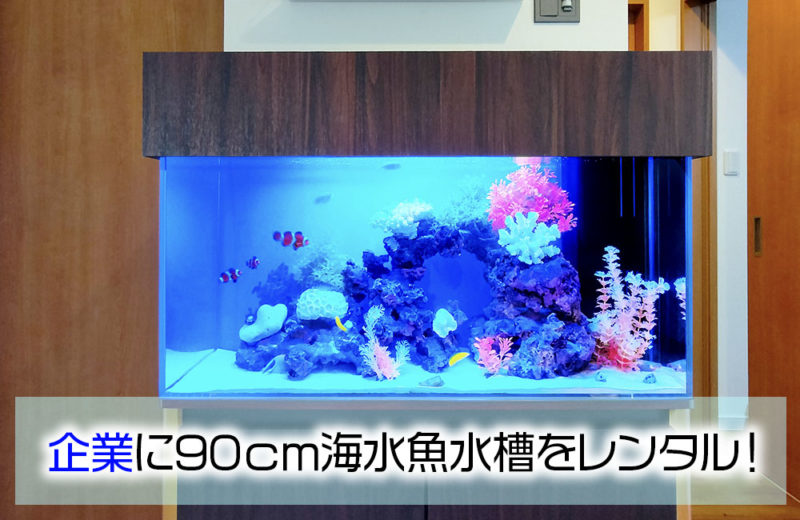 企業様の通路に90cm海水魚水槽をレンタルしています 水槽画像1