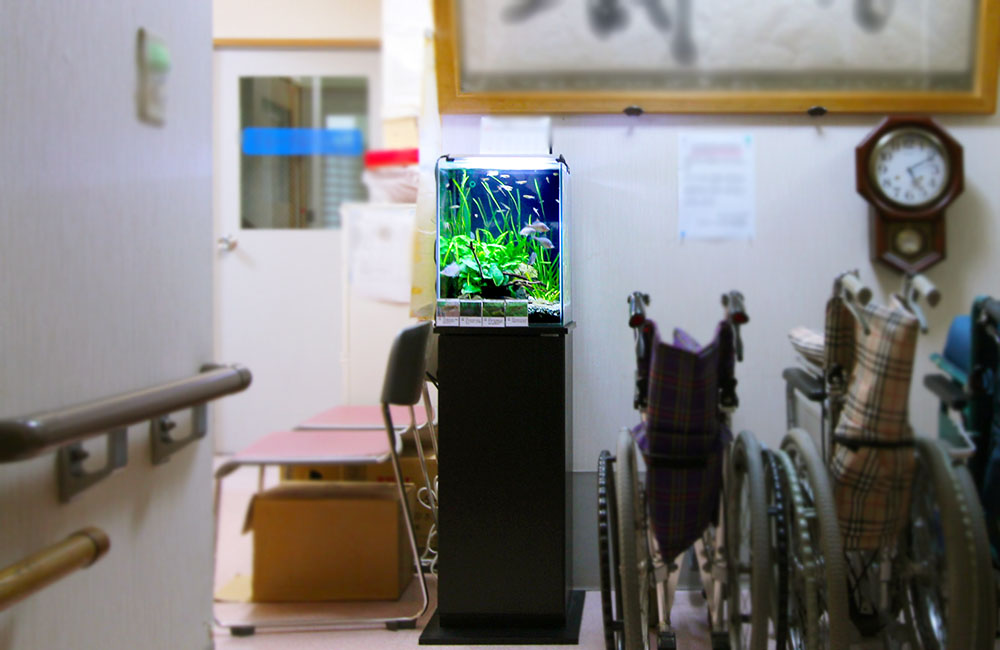 車椅子が並ぶ施設内に設置された小型水槽と水草の風景