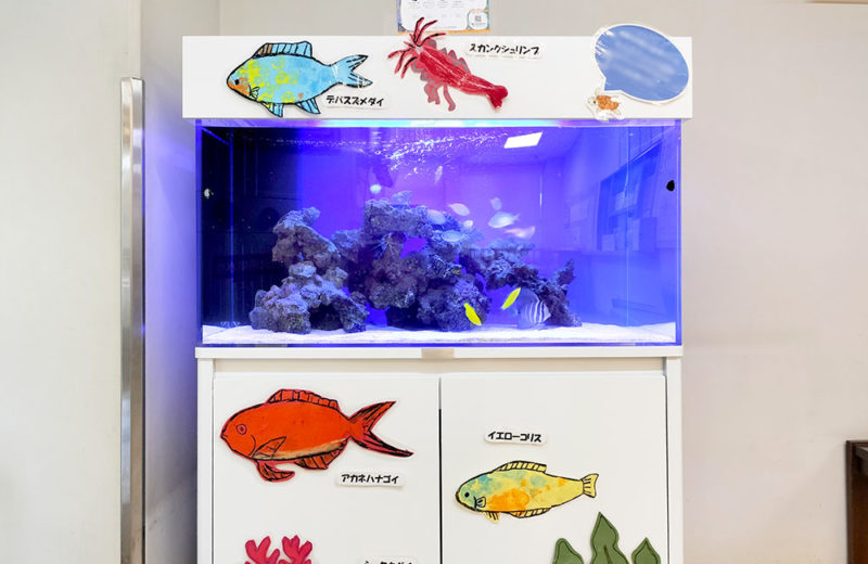 医療・教育施設様に90cm海水魚水槽をレンタル！子供たちに人気のアクアリウム 水槽画像２