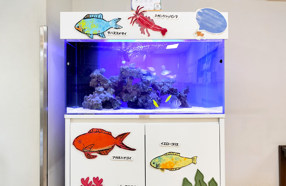 魚のイラストが貼られた海水魚水槽と白い水槽台