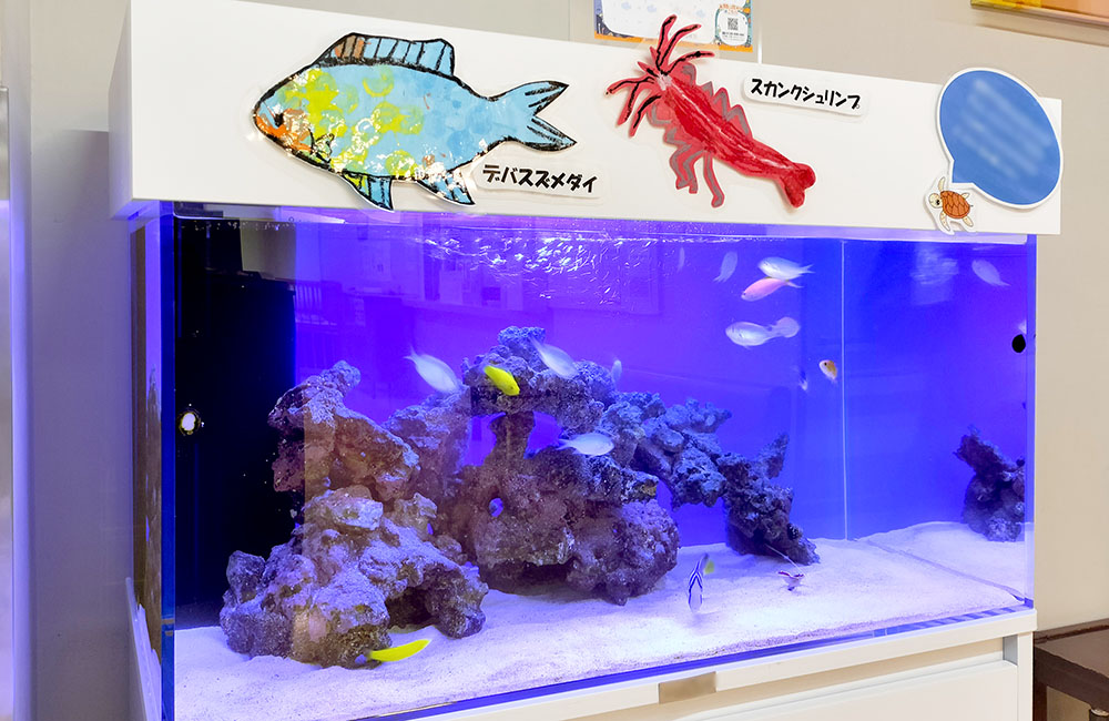 魚のイラストが貼られた海水魚水槽とライブロックのレイアウト