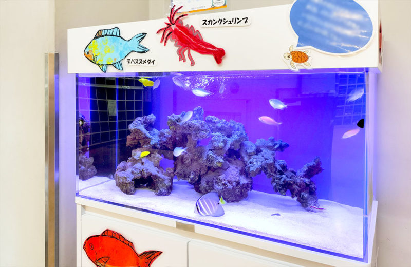 医療・教育施設様に90cm海水魚水槽をレンタル！子供たちに人気のアクアリウム 水槽画像３