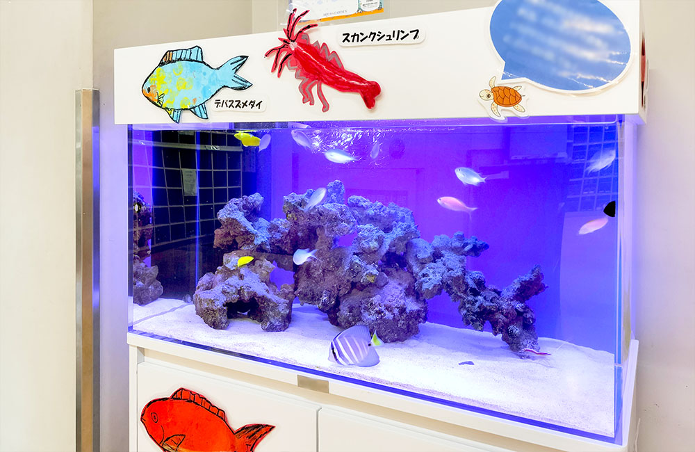 魚のイラストが飾られた海水魚水槽とライブロック