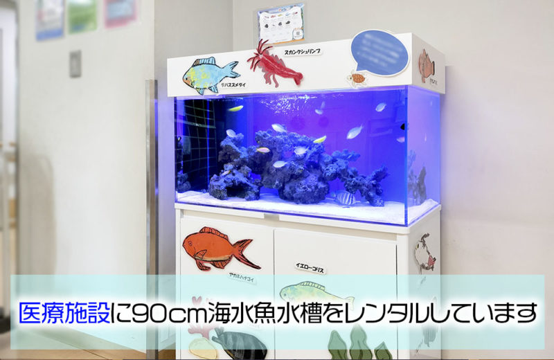 医療・教育施設様に90cm海水魚水槽をレンタル！子供たちに人気のアクアリウム 水槽画像１