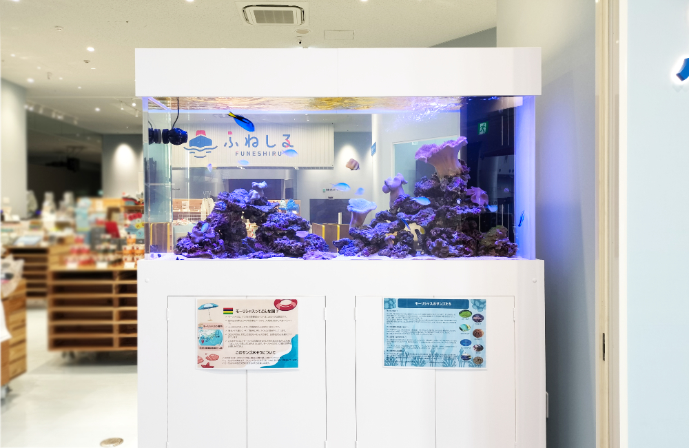 店舗内に設置された白い大型の海水魚水槽とライブロック